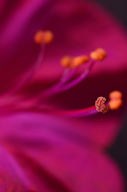 Image by Laura Ockel