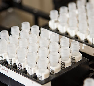 Image by National Cancer Institute