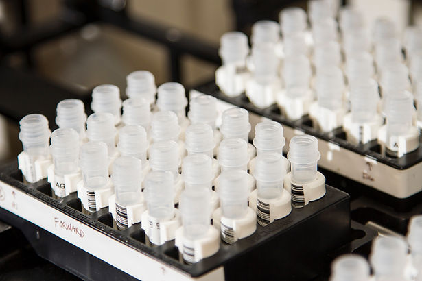 Image by National Cancer Institute