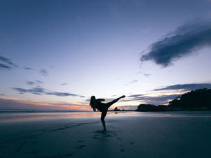 Which Martial Arts Should I Learn? Asked and Answered