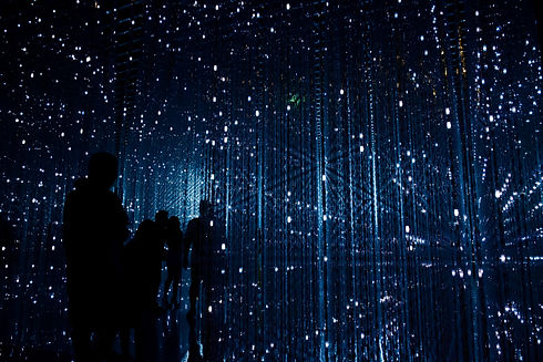 Image by Robynne Hu
