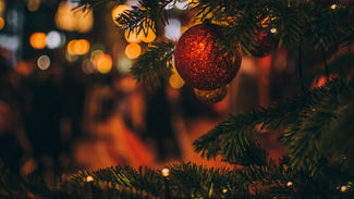 "We need not pretend to be anything than what we are"