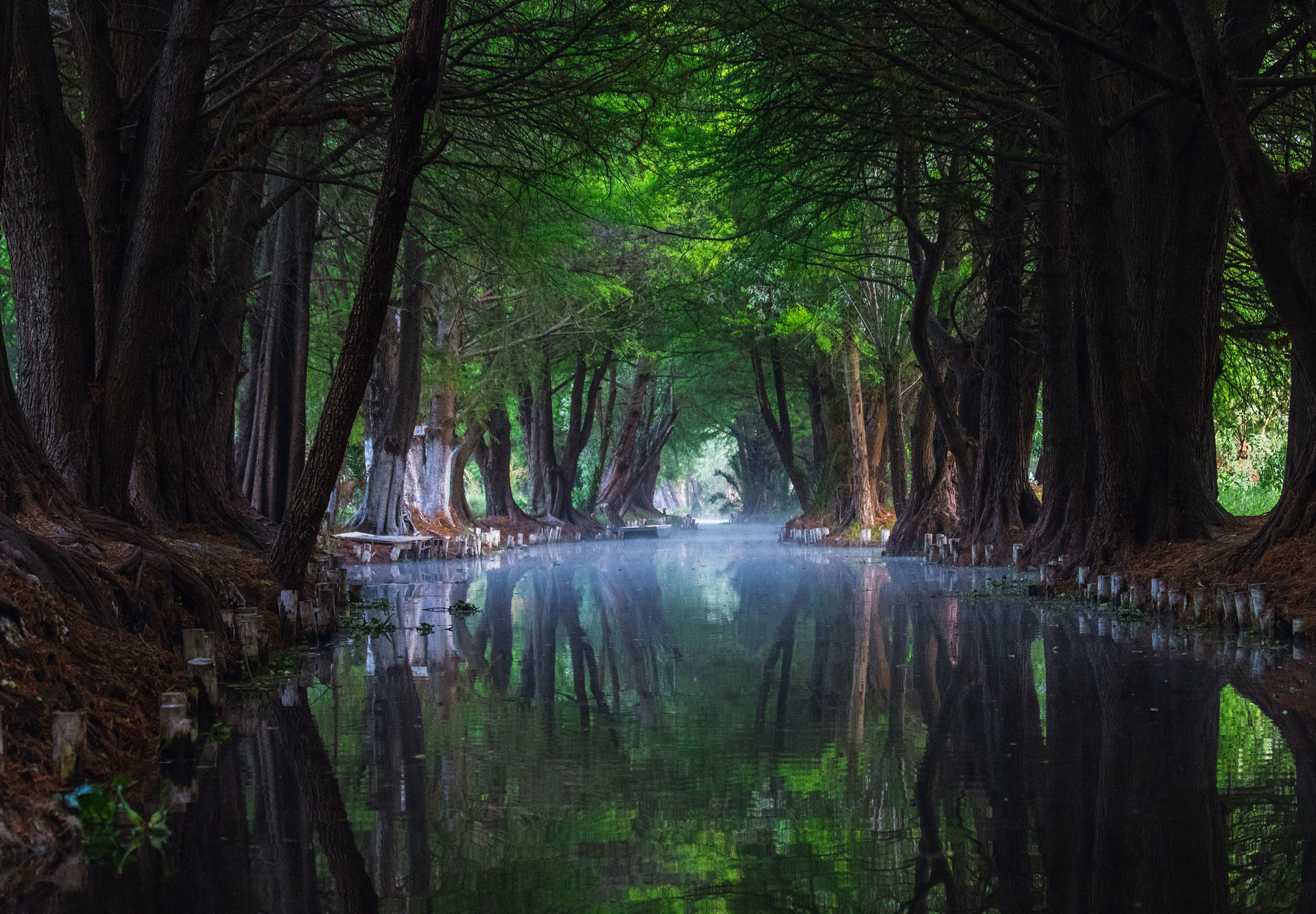 Mexico City Neighborhoods XOCHIMILCO
