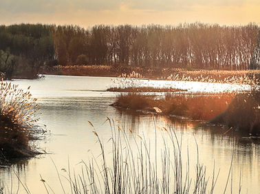Image by Valentin Salja