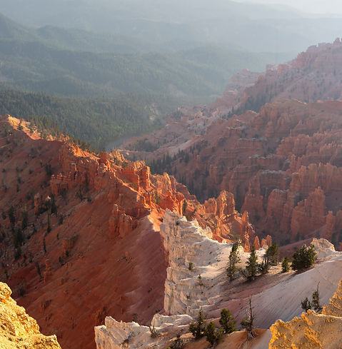 Image by xandro Vandewalle