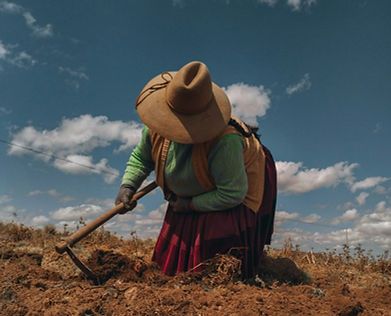 Image by Isaac clinton Suca Fuentes