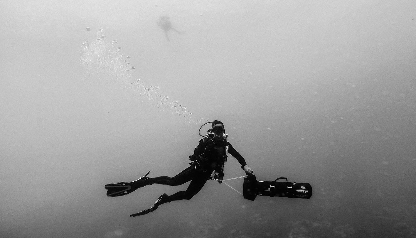 Image by Adam Sherez