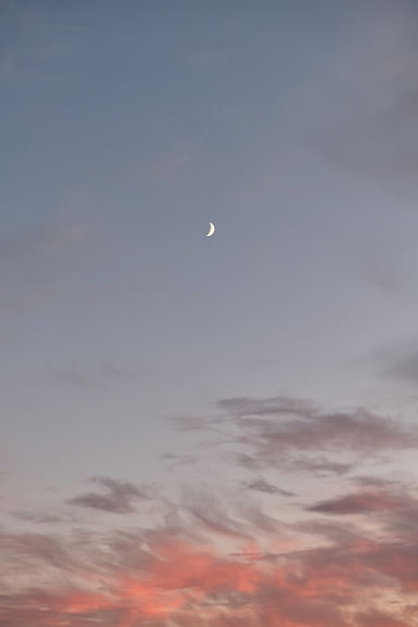 Image by Les Argonautes