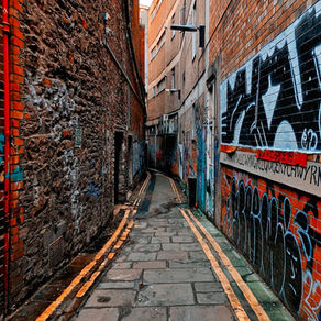 Beyond These Walls by Shirzad Mustafa