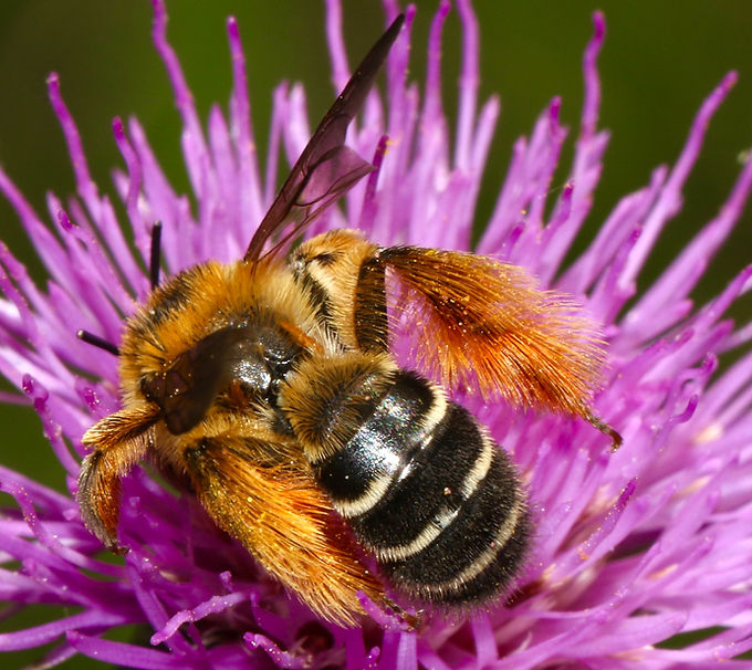 Image by James Wainscoat