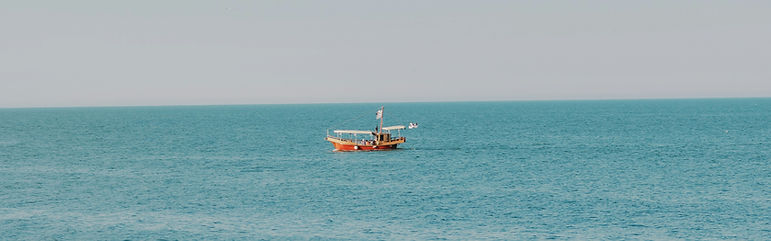 Image by Eugenia Pan'kiv