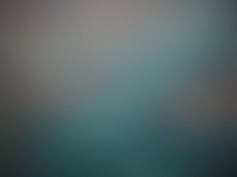 2013 MyBusiness Awards Finalist