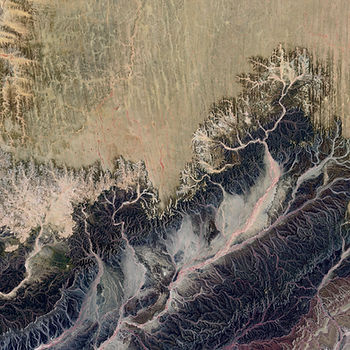 Image appears to be of waves and trees crashing into one another.