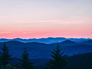 10 Signs You Need Tree Pruning in the Shenandoah Valley (And How to Spot Them Early) https://unsplash.com/@patrickbald?utm_source=wix-media-manager&utm_medium=referral