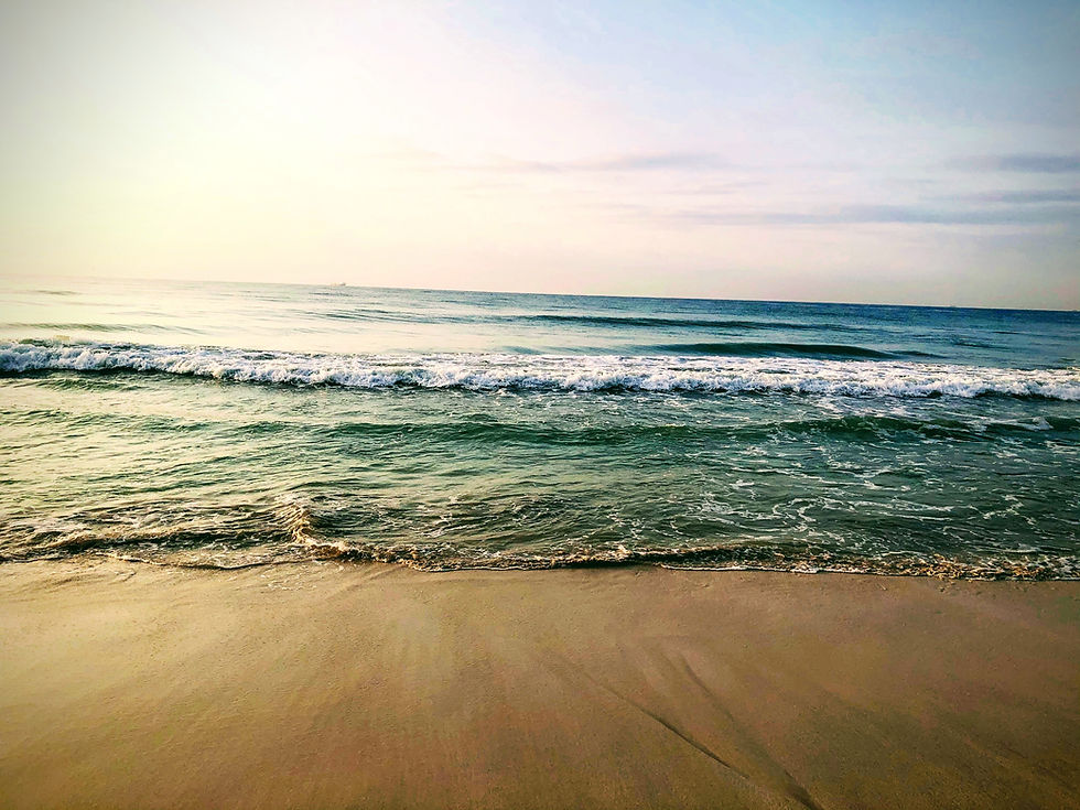 Image by Anusree Mohan