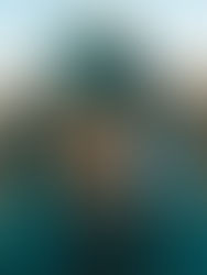 O PODER DA PERSISTÊNCIA