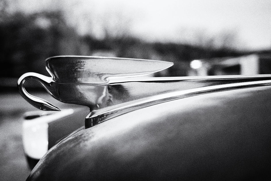 Image by Anya Smith