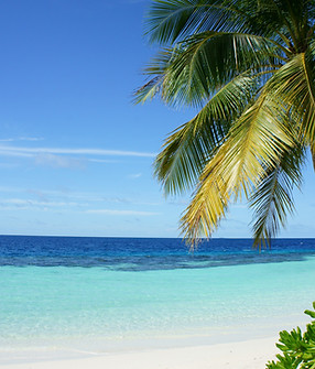 Image by Pedro Monteiro