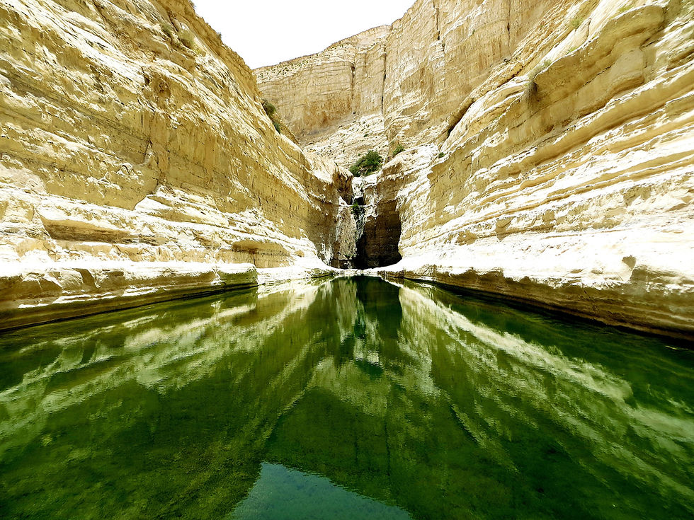 Negev Desert