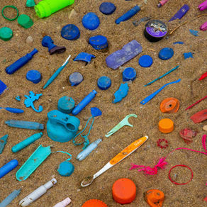 The bug that eats toxic plastic