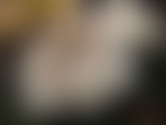 De overgang, vloek of kans?