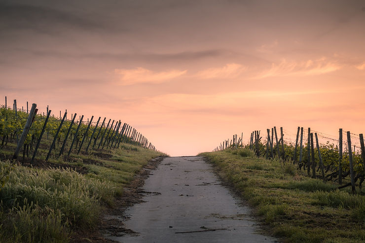 Image by Karsten Würth (➡️ @karsten.wuerth)
