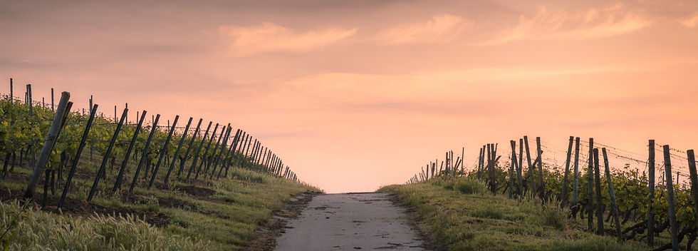 Image by Karsten Würth