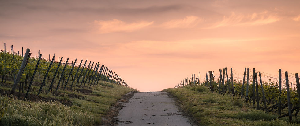 Image by Karsten Würth