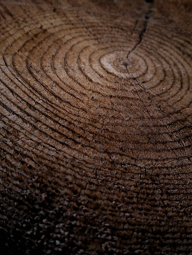 Image by Gabriel Jimenez