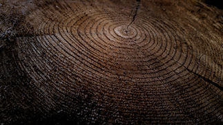 Image by Gabriel Jimenez
