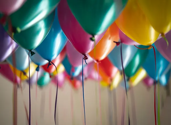 Parties Hunter S Softplay Findon Garden Centre