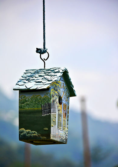 Image by Sneha Cecil