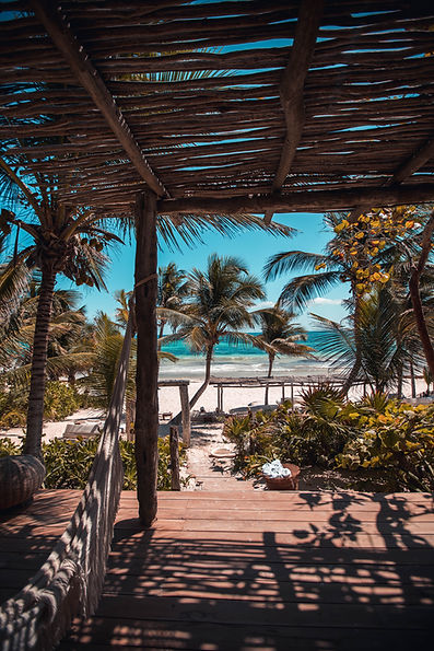 Trusted Experts in Mexico Real Estate