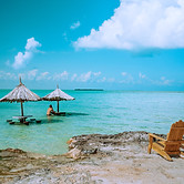 Image by Meritt Thomas