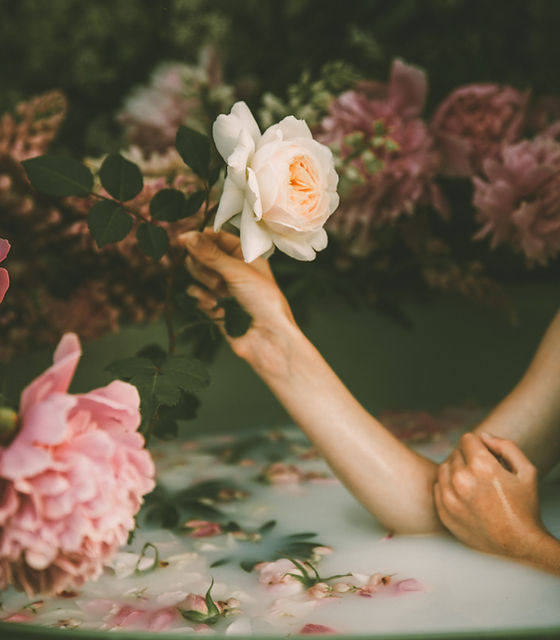 Image by Anita Austvika