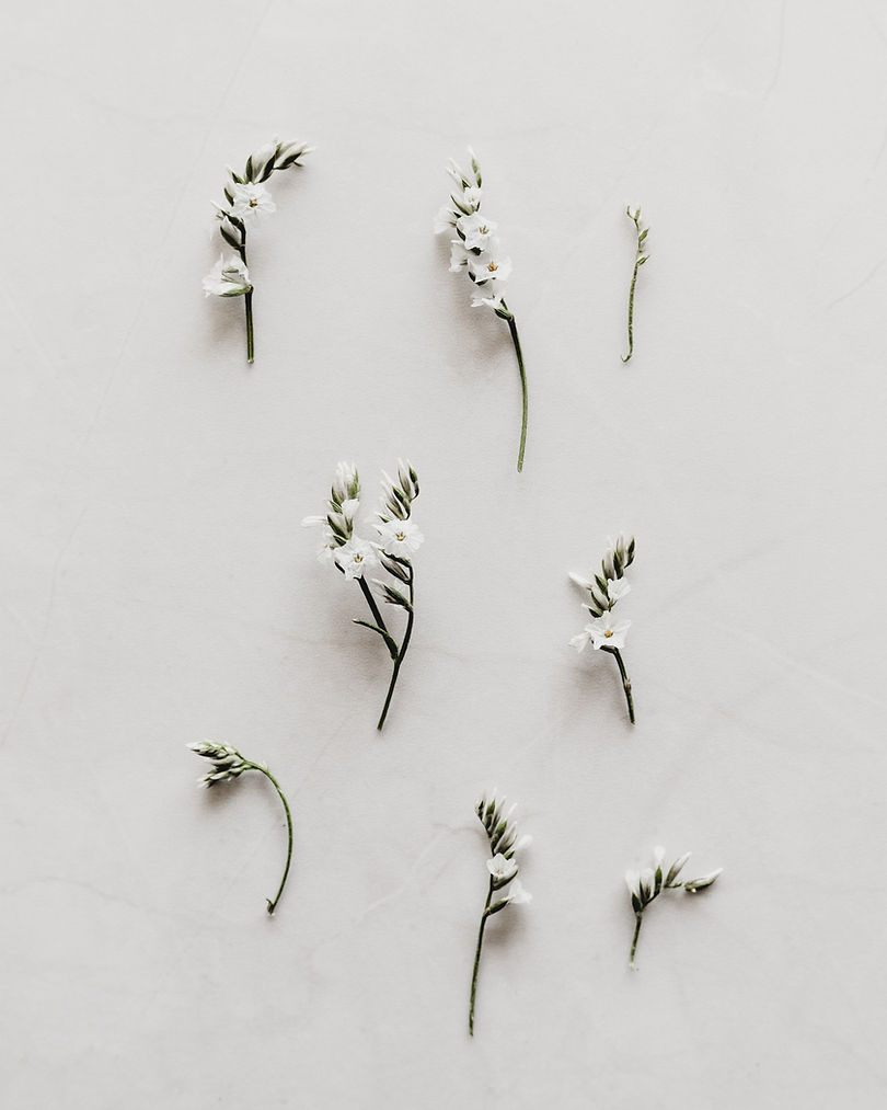 Image by Georgia de Lotz