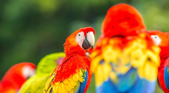 Image by Zdeněk Macháček