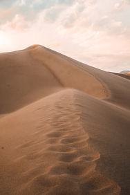 Image by Josh Gordon