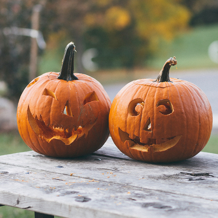Pumpkin Art with Exhibit Art Design