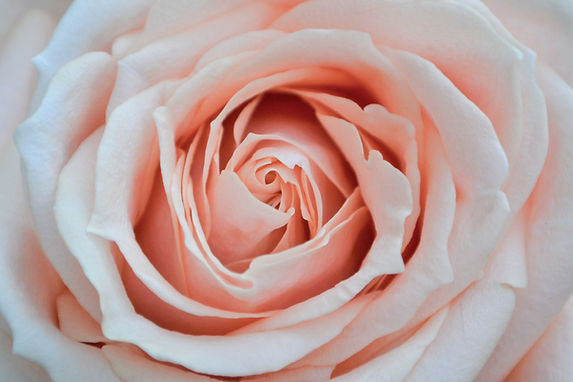 Image by Jane Duursma
