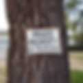 Image by Wesley Tingey, a tree trunk with a sign attached to it stating, "Private Property No Trespassing."