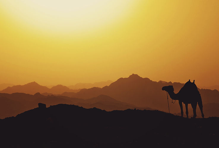 Image by Mariam Soliman