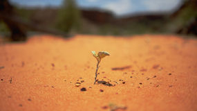RESILIENZ VON MENSCH UND MARKE 