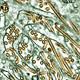 Image by CDC
