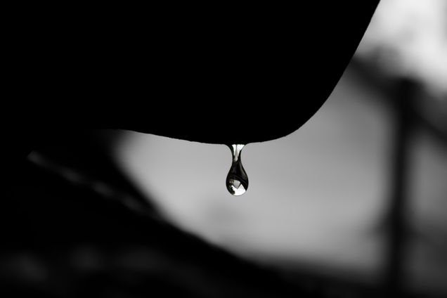 Image by Mayank Dhanawade