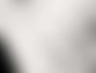 How to Legally Dismiss an Employee During Their Probationary Period