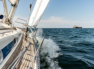 Image by Michael Held