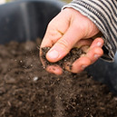 Image by Zoe Richardson