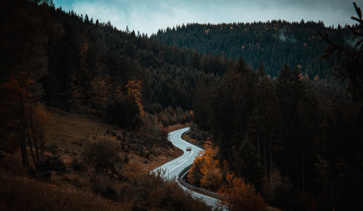 Schwarzwald 