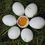 Thumbnail: goose eggs